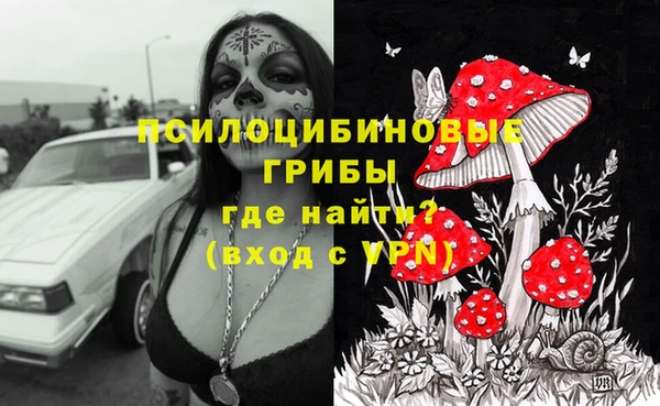 мдпв Михайловск