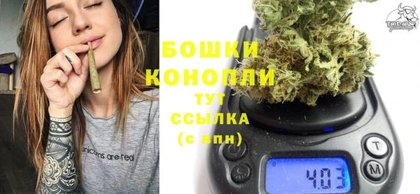 мдпв Михайловск