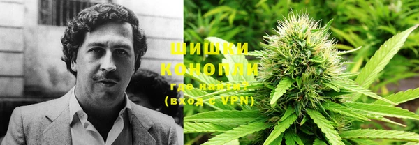 мдпв Михайловск