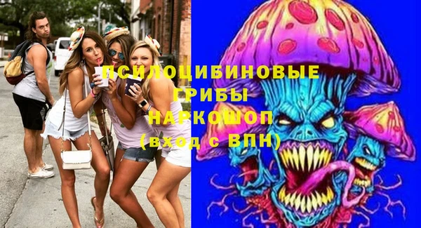 мдпв Михайловск