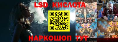 спайс Кингисепп