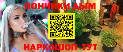 спайс Кингисепп