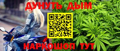 спайс Кингисепп