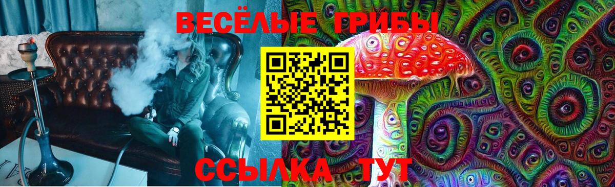 Галлюциногенные грибы Psilocybe  Вход с VPN  Чапаевск 