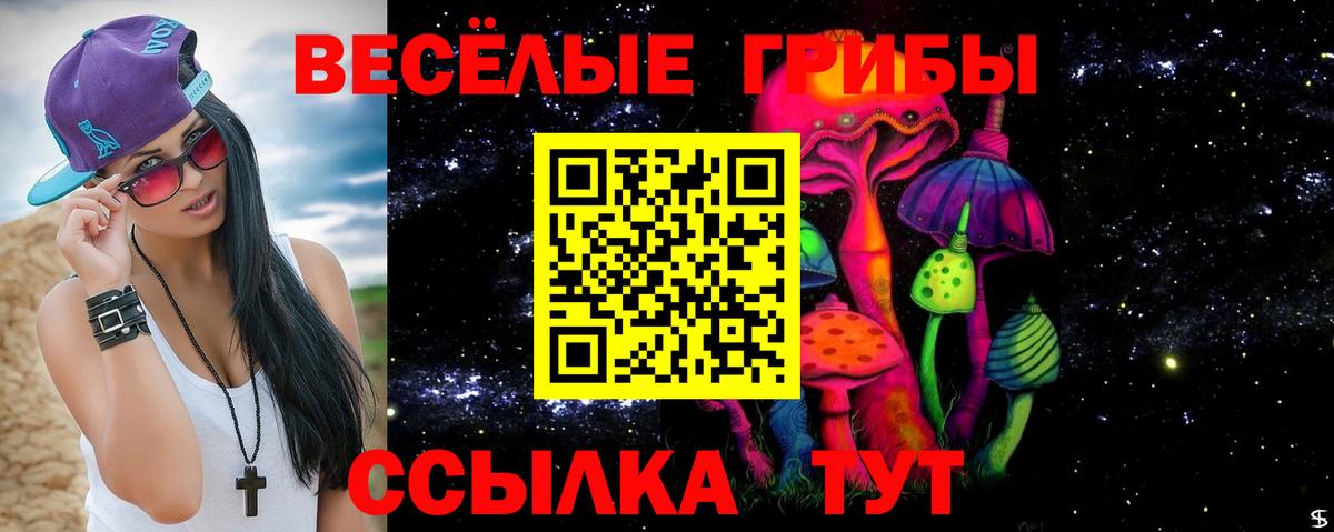 Галлюциногенные грибы Psilocybe Чапаевск